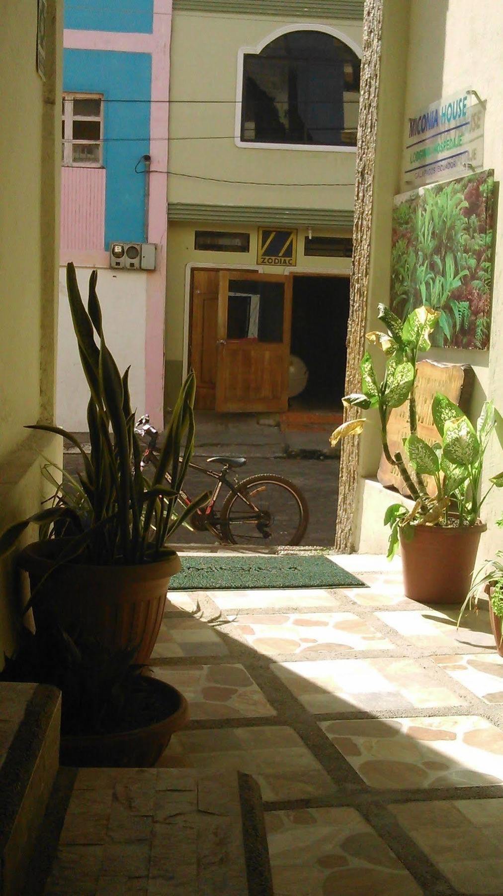 Hostal Miconia Puerto Ayora  Ngoại thất bức ảnh