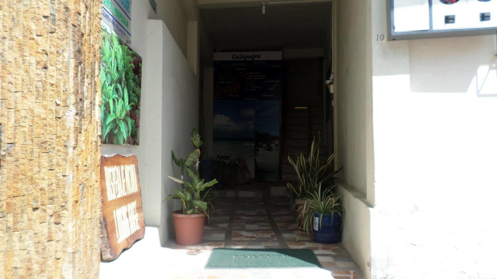 Hostal Miconia Puerto Ayora  Ngoại thất bức ảnh